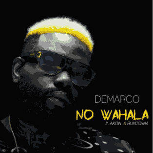 Demarco Ft. Akon x Runtown - No Wahala